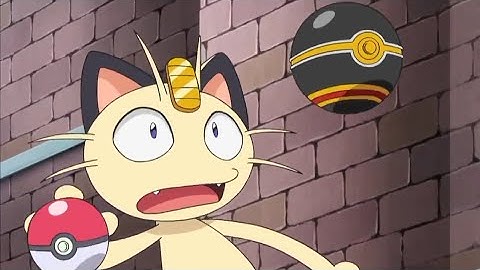 Pikachu Almost Caught Meowth Funny Moment 😁 [Hindi] |Pokémon XY Kalos Quest Season 18|