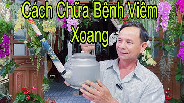 Bài Thuốc Trị Viêm Xoang Cực Kỳ Hiệu Quả
