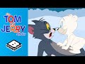 Tom And The Polar Bear | Tom &amp; Jerry Show | @BoomerangUK