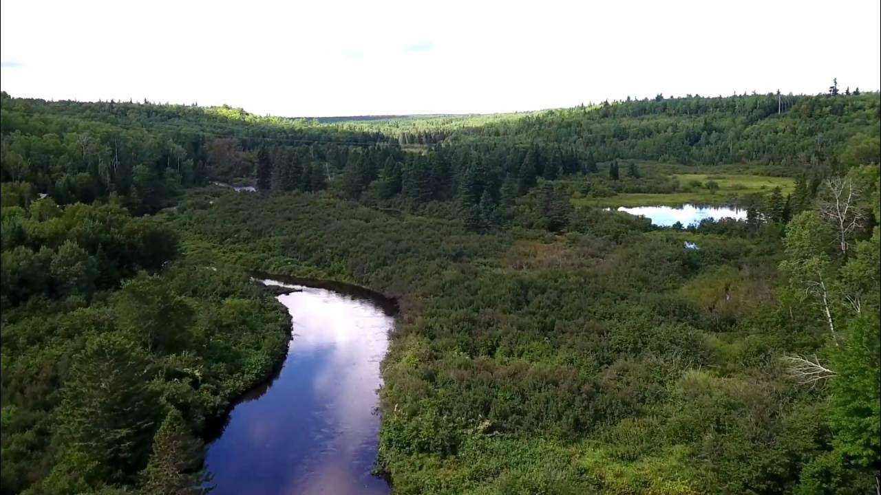 Bartibog River YouTube