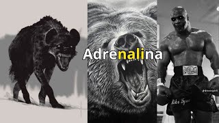 Adrenalina by Estoa Sabia 996 views 1 month ago 2 minutes, 27 seconds