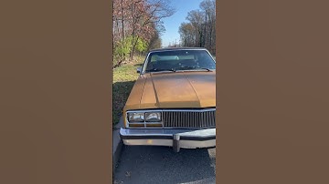 My brothers cool gold car 1980 Mercury Zephyr Z7 #shorts #funny #car #zephyr @tormentandblasted