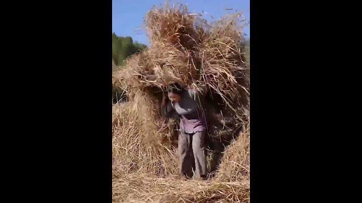 #viral #video #short |LiziQi Cooking 2023