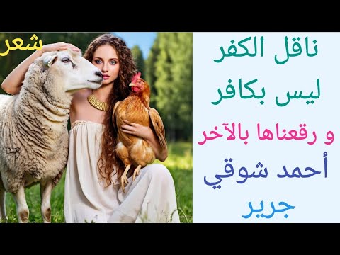 ناقل الكفر ليس بكافر و رقعناها بالآخر أحمد شوقي جرير