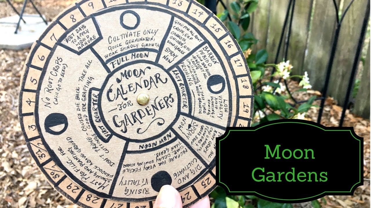 Gardening By The Moon Chart