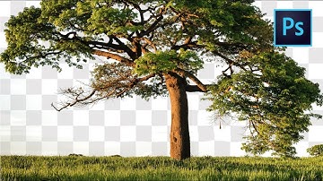 1-Minute Photoshop | Cut Out Tree in Photoshop