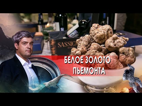 Белое золото Пьемонта. НИИ РЕН ТВ. (18.05.2021).