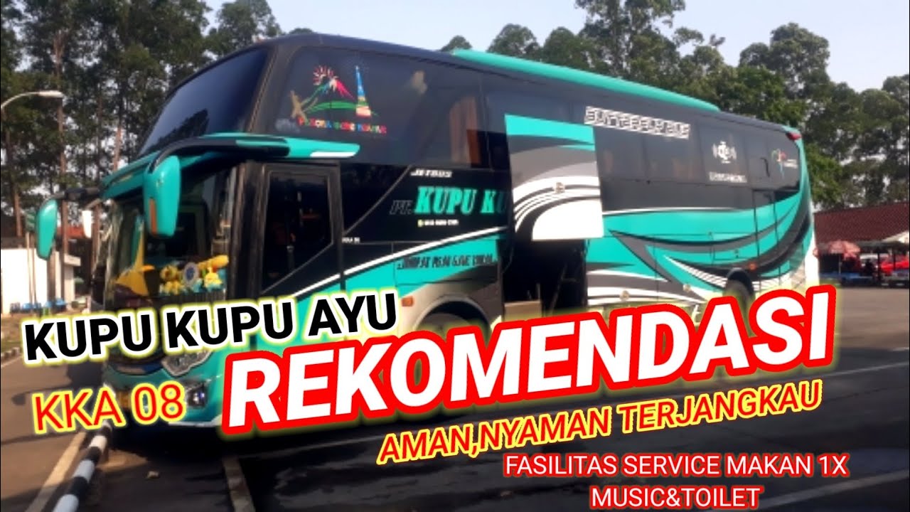 Kupu-Kupu Ayu: Mengudara di Jalan Raya, Menebar Pesona Pariwisata Purwokerto