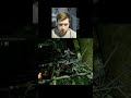 Щит с пауком не поможет против укусов  #darksouls #соулслайк
