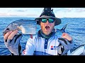 Trolling baits for big mackerel (catch, clean)