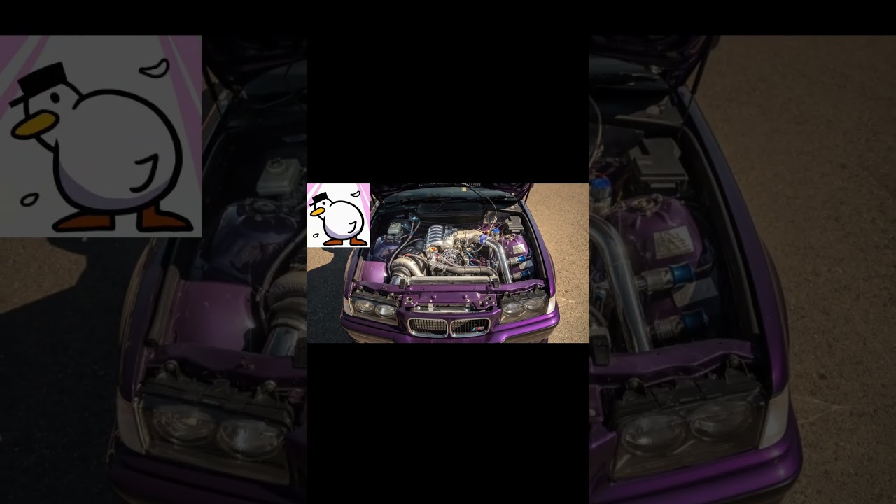 Senator john kennedy preaches facts 