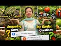 Your Gardening Questions, My Answers(Real Plant Problems)+ Shout to Regular Viewers
