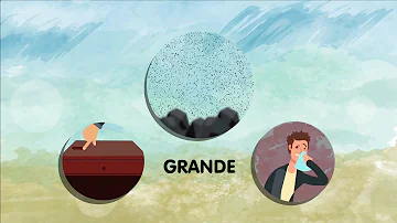 Como é formado o material particulado?