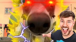 War Of The Last Century War Of The Last Guardians Portal Madness Cover