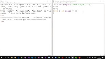 Python Fibonacci Sayı Dizisi