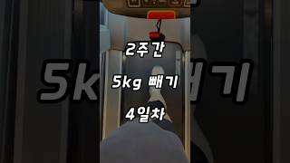 2주간 5키로 다이어트 4일차 #다이어트브이로그
