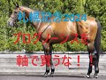 札幌記念 2024 プログノーシス昨年のような鮮やかな勝利はない 敗戦の共通点・最大の死角 穴馬逆転のシナリオ