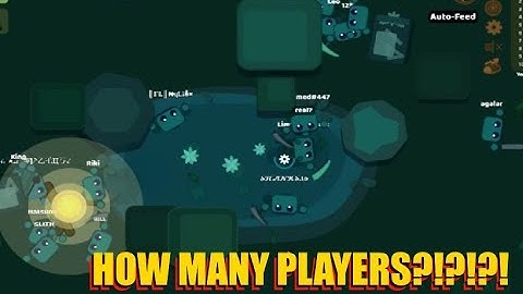 Starve.io EU#1 Shenannigans