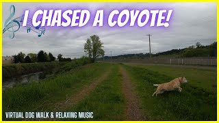 Walk Along the River From Three Friends Fishing Hole Park / Relaxing Music & Virtual Dog Walk