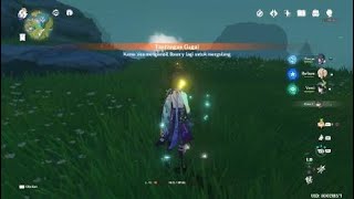 Bug genshin impact enemy no damage