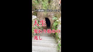 新たな自分に生まれ変わり願いが叶う 【熊野那智大社】大楠の胎内くぐり　#shorts