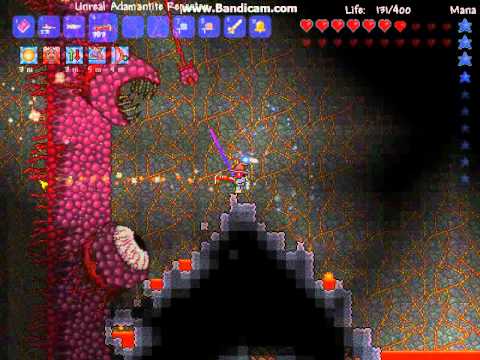 terraria wof terraria wof