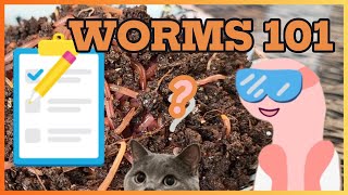 Tips for Successful Worm Farming