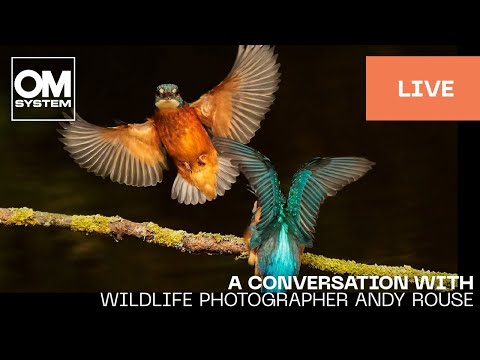 In Conversation with Wildlife Photographer Andy Rouse