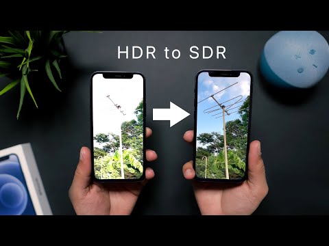 How to FIX iPhone 12 Overexposed HDR Videos! (feat. @KDCloudy )