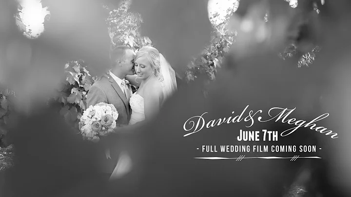 David&Meghan Wedding Film Teaser - Helwig Winery -...