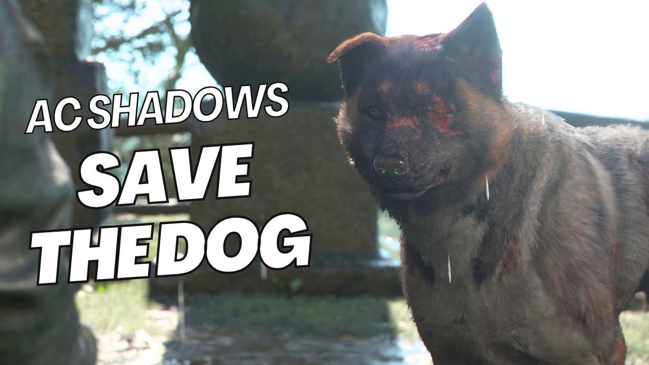AC Shadows - Save The Dog Quest (SECRET REWARD)
