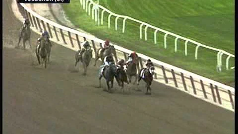 2012 Vosburgh Stakes - The Lumber Guy