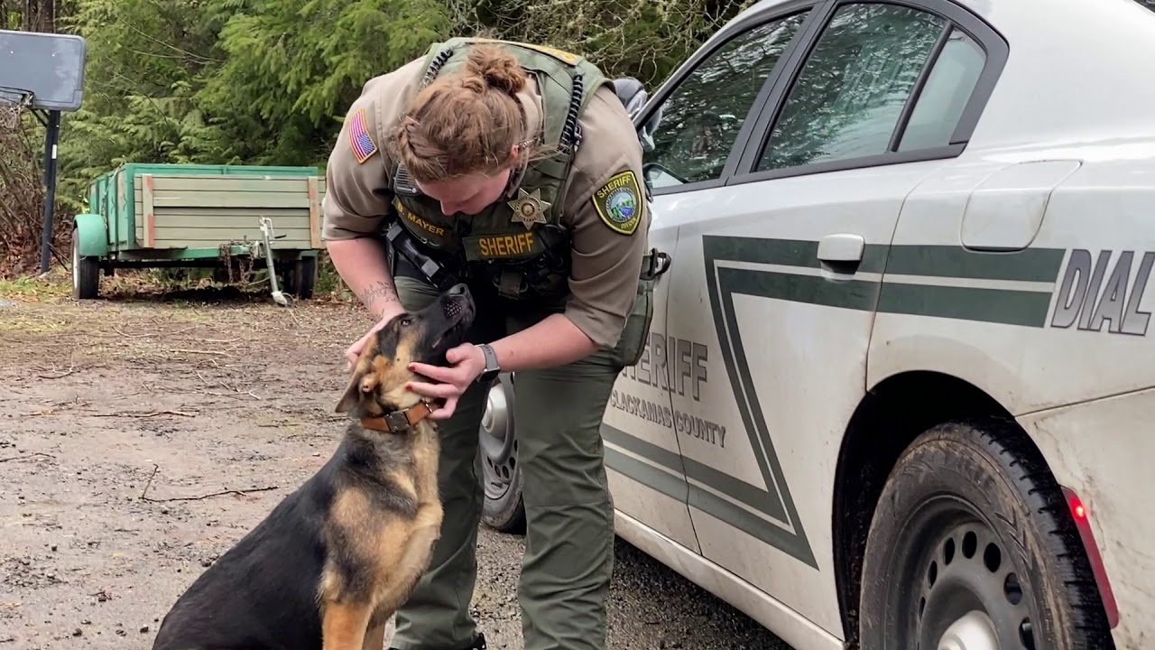 CCSO and National Guard Offer Door-to-Door Help to County Storm Victims