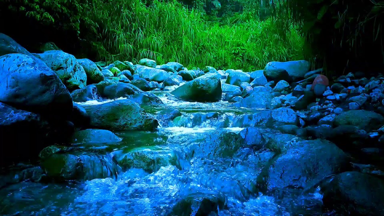 🌿 Gentle Forest River ASMR Sounds for Deep Sleep, Relaxation & Stress Relief