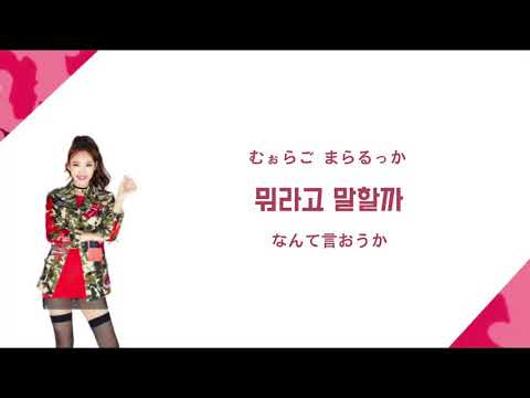 【カナルビ/日本語字幕】TWICE Truth