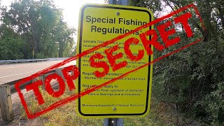 Fishing the Vermillion River - Dakota County