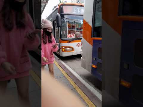 首都客運307路線kkb-1597,大有巴士212直達車路線fab-772 臺北客運307路線552-u3,臺北客運667路線kka-1335