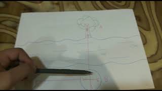 COMPASS METHOD OF ESTIMATION EXPLAINED BY GUIDE NYSAA MAKKAR FROM CARMEL CONVENT SCHOOL CHANDIGARH