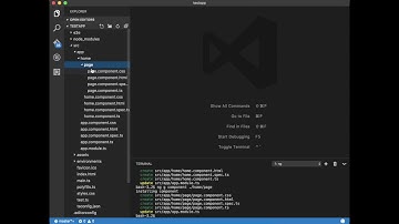 VSCode - Angular CLI