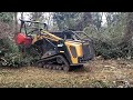 Turtle Habitat Cleanup | Forestry Mulching