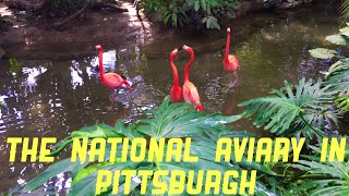 THE NATIONAL AVIARY PITTSBURGH USA