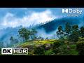 Ultimate Nature in 8K HDR – Relaxing Cinematic Landscapes | NatureScape Ultra