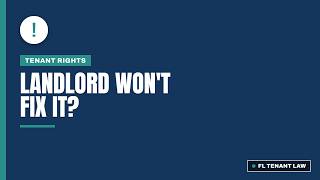 Florida Tenant Rights When Your Landlord Won't Make Repairs