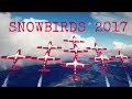 Snowbirds 2017 YEAR IN REVIEW!