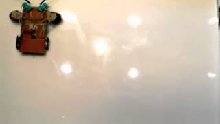 BUG Demo