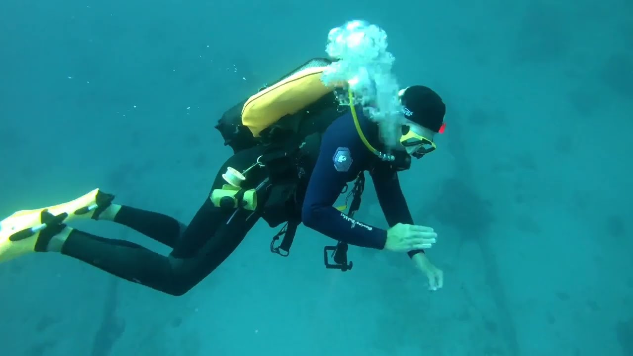 MV Superior Producer, Wreck Dive in Curacao