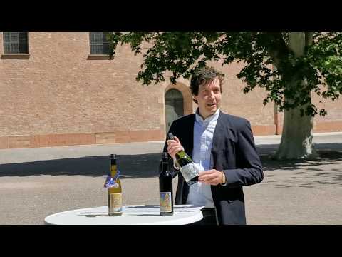 Präsentation des Domsekts 2020 durch Dr. Bastian Klohr von der Weinbiet Manufaktur in Neustadt