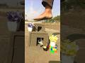creative amazing videography ideas 💡 with mobile tri 📱#funny #amazing #videography #creative #sorts