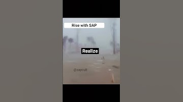 Rise with SAP #comedy #saperp #abap #funny #memes #reels #sap #sapmemes #sapvideos