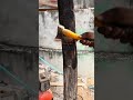 Easy Wooden Post Joints with a Mini Circular Saw